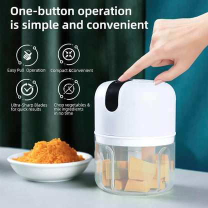 Rechargeable Mini Electric Chopper - Stainless Steel Blades, Easy One Touch Operation, 250 ML